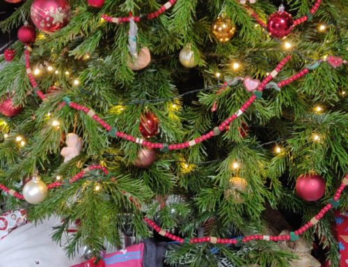 Frohe Weihnachten und ein gesegnetes neues Jahr 2023